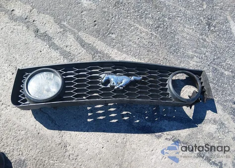 2008 Ford Mustang Gt Deluxe/Gt Premium z USA, uszkodzony, nr VIN 1ZVHT85H585117754